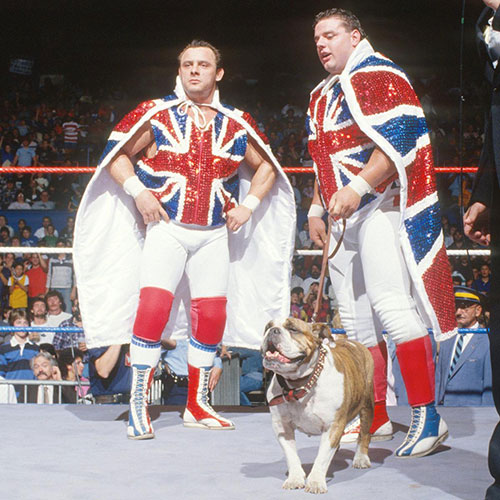 Los Bulldogs Británicos antes de una lucha