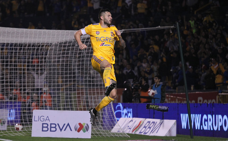 Gignac festeja un gol con Tigres