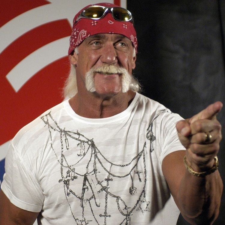 Hulk Hogan, exluchador de la WWE