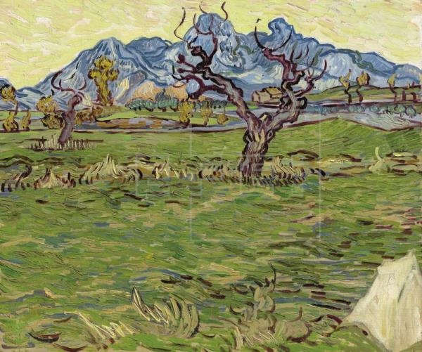 Champs prês des Alpilles; obra que pintó Vincent van Gogh