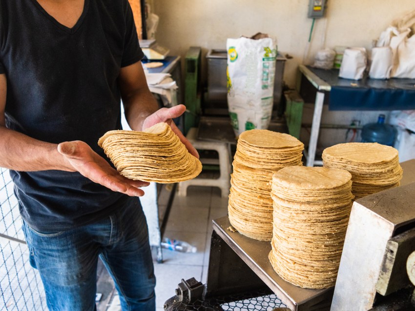 Precio de tortillas aumenta en México