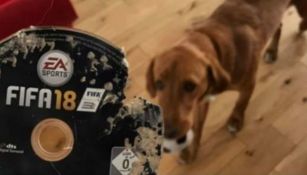 Perro destruye el nuevo FIFA 18 de su dueño