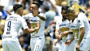 Pumas festeja gol contra Necaxa en la Jornada 2 del A2018