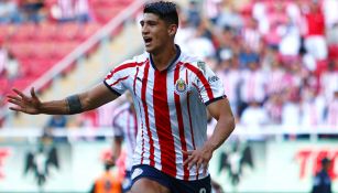 Alan Pulido celebra gol de Chivas contra Gallos 