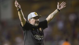 Maradona celebra en juego de Dorados 