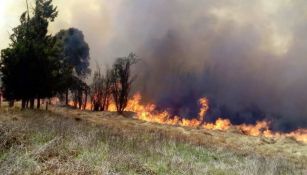 Panorámica del incendio en Parque Ecológico de Xochimilco