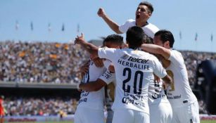 Jugadores de Pumas festejan gol de González 