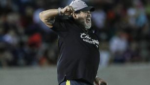 Maradona festeja triunfo de Dorados ante Cimarrones