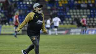 Maradona festeja en partido de Dorados
