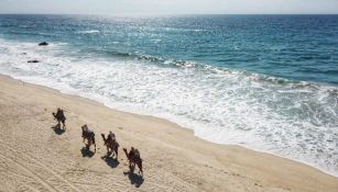 Tenistas, durante paseo en camellos en la playa 
