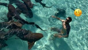 Gignac en las Bahamas nadando con tiburones