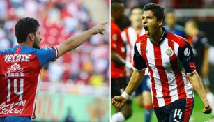 Zaldívar y Briseño 'luchan' por el dorsal '14' de Chivas