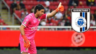 Chivas: Toño Rodríguez será nuevo jugador del Querétaro