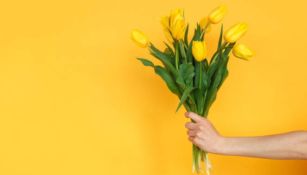 ¿Regalarás flores amarillas el 21 de marzo? Te contamos el motivo de esta tradición