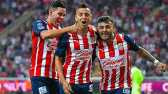 Jugadores de Chivas celebran gol