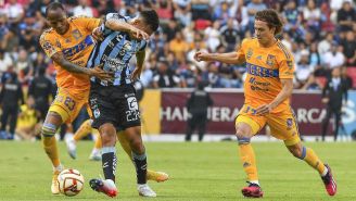 Tigres vs Querétaro: ¿Cuándo y dónde ver el Juego de la Jornada 7 del Apertura 2023?
