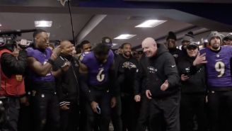 Así celebraron los coaches el triunfo de Ravens