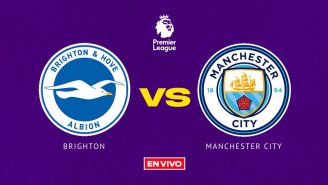 Brighton and Hove vs Manchester City EN VIVO Premier League Jornada 29
