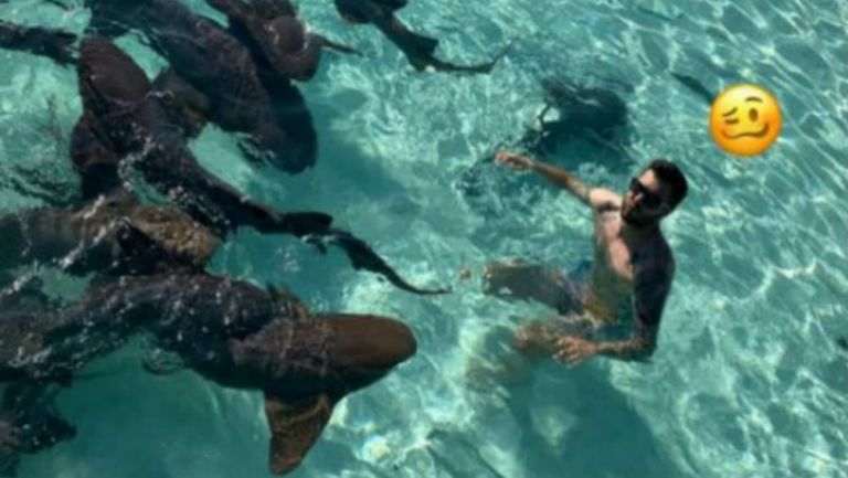 Gignac en las Bahamas nadando con tiburones