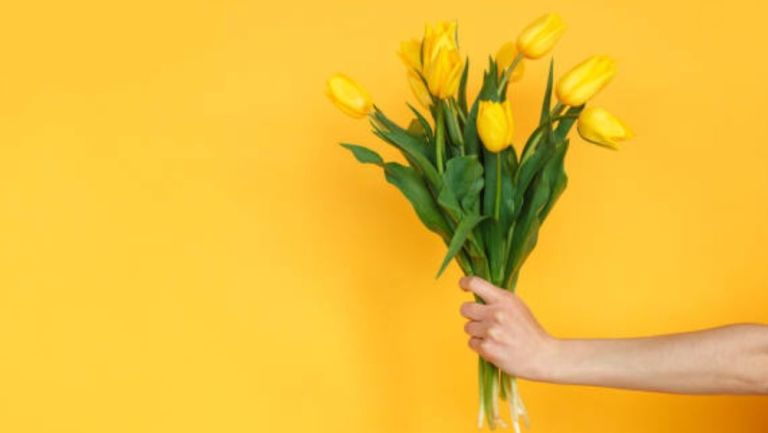 ¿Regalarás flores amarillas el 21 de marzo? Te contamos el motivo de esta tradición